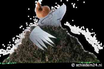 Wie heeft er op de mol zijn kop gepoept? - https://schiedam24.nl/