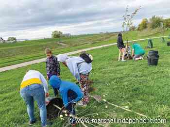 A forest of healthy food | News, Sports, Jobs - Marshall Independent