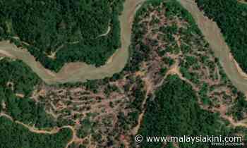 'Unfeasible' Pahang project axed, but forest twice size of Putrajaya gone? - Malaysiakini
