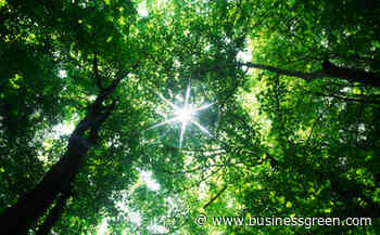 AXA pledges to invest £1.3bn in forest protection - www.businessgreen.com