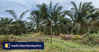 In Malaysia’s Johor, mines and palm oil plantations are replacing forests - South China Morning Post