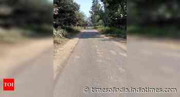 No forest clearance, but U'khand builds road that cuts through Rajaji-CTR corridor - Times of India