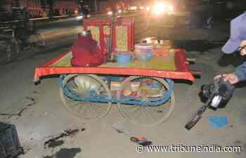 JCO among two soldiers killed in Poonch-Rajouri forest gunfight - The Tribune India