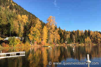 INDUSTRIAL UPDATE: Quesnel-area community forest entering land-selection phase – Quesnel Cariboo Observer - Quesnel - Cariboo Observer