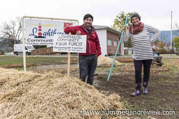Community food forest taking root at Salmon Arm Salvation Army property – Summerland Review - Summerland Review