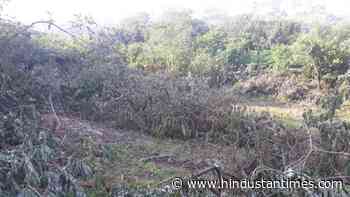 Residents oppose clearing of forest land at Warje Malwadi - Hindustan Times
