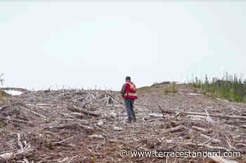 Saik'uz First Nation makes swift changes to forest management in its territory – Terrace Standard - Terrace Standard