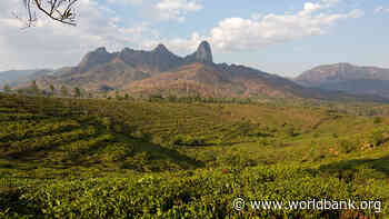 Mozambique Becomes First Country To Receive Emission Reductions Payments From Forest Carbon Partnership Facility - World Bank Group