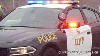 Six golf carts stolen from business outside of Fergus - CTV News Kitchener