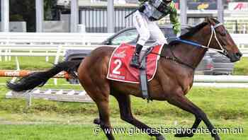 Incentivise penalised 1.5kg for Melb Cup - Gloucester Advocate