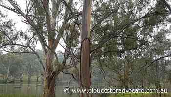 Couple missing near NSW/Victorian border - Gloucester Advocate