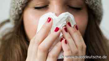 Dachauer Experten sehen keine Gefahr für Grippewelle - Süddeutsche Zeitung