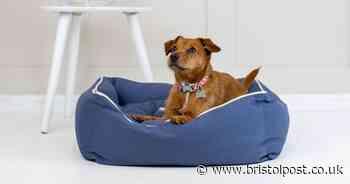 Win one of 12 £170 luxury dog beds with inner fleece cushion