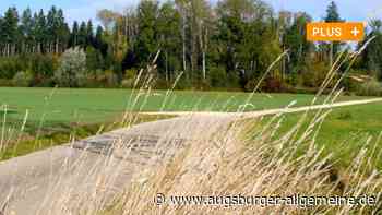Pilze, Stürme, Nässe: So geht es dem Holzheimer Gemeindewald