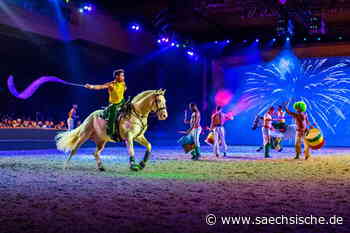 Riesa: "Die Pandemie war auch für die Pferde eine Umstellung" - Sächsische.de