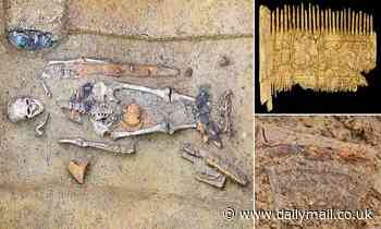 'Hipster' warrior was buried 1,500 years ago with a comb that may have been used to style his beard