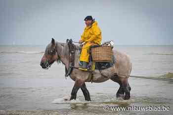 Zaterdag afscheid van paardenvisser Johan Vanmassenhove in kerk Oostduinkerke