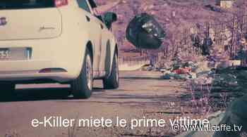 Primi zozzoni beccati ad Ardea con le telecamere "e-Killer": piovono multe - Il Caffè.tv