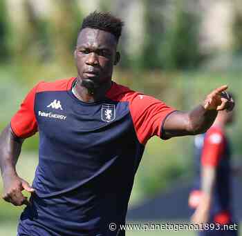 I 24 convocati Genoa: prima volta per Caicedo, tornano Sturaro, Buksa, Masiello e Marchetti - PianetaGenoa1893 - Pianetagenoa1893.net