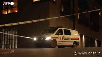 Norvegia, il luogo dell'assalto con arco e frecce, uccise almeno 5 persone - Mondo - Agenzia ANSA