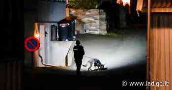 Orrore in Norvegia, armato di arco e frecce fa una strage: almeno 5 i morti - l'Adige - Quotidiano indipendente del Trentino Alto Adige