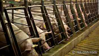 Pork is already expensive. This animal-welfare law could push prices higher