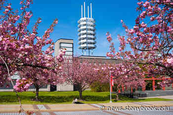 Provost's Lecture Series Hosts Anthropologist Joan Richtsmeier | | SBU News - Stony Brook News