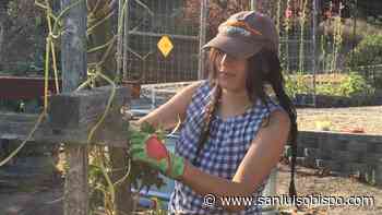 Mentoring Cal Poly student offers self-esteem boost for SLO retiree - San Luis Obispo Tribune