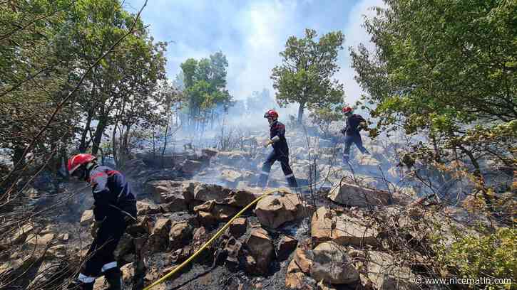 18 hectares ravagés cet été, 100 pompiers mobilisés pendant 3 jours... les incendiaires du Col de Vence condamnés