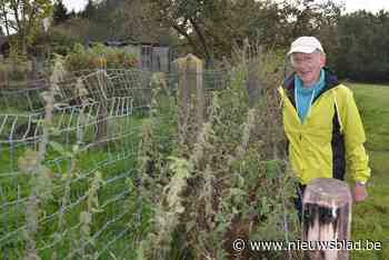 Trage weg ontoegankelijk door prikkeldraad en brandnetels