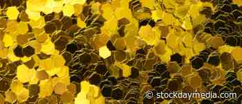 Marathon Gold Investing in Newfoundland & Labrador (MGDPF) - Stock Day Media