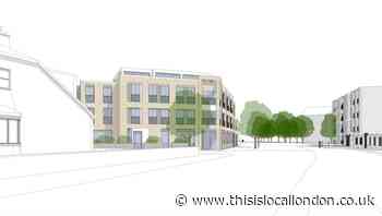 'Rabbit hutch-sized' homes approved in South Woodford