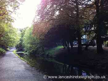 Darwen's Sunnyhurst Wood set for access improvements