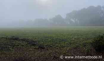Heel de ochtend code geel voor dichte mist - Internetbode