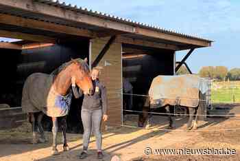 Manege De Paddock moet dicht