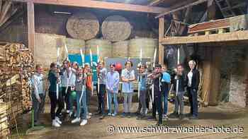 Gymnasium Schramberg - Schüler bestehen viele Herausforderungen - Schwarzwälder Bote
