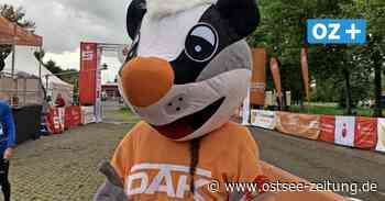 Rügenbrücken-Marathon in Stralsund: Diese Rostocker Schönheit sorgte als „Daks“ für Stimmung - Ostsee Zeitung