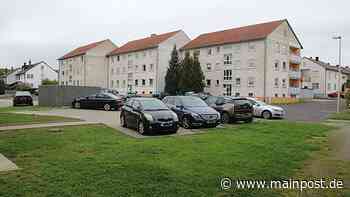 Umweltbeauftragter: Marktheidenfeld will nun doch einen Profi - Main-Post