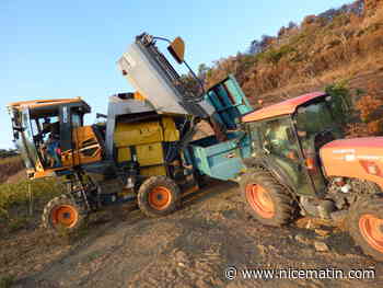 Comment sauver la cuvée 2021 après l'incendie? Un nouveau traitement qui absorbe le goût de fumée expérimenté dans le Var