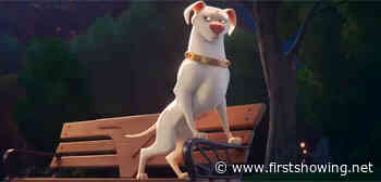 They're Super-Cuddly-Powered! Teaser for 'DC League of Super Pets'