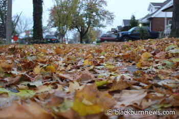 Tecumseh, Windsor need Angels - BlackburnNews.com