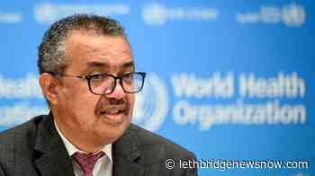 FIFA, Qatar team up with WHO for World Cup health promotion - Lethbridge News Now