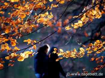 Niedersachsen startet trocken und teils sonnig in die neue Woche - Landkreis Stade - Tageblatt-online