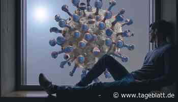 Wie die Pandemie unseren Alltag verändert – Studien-Teilnehmer gesucht - Landkreis Stade - Tageblatt-online