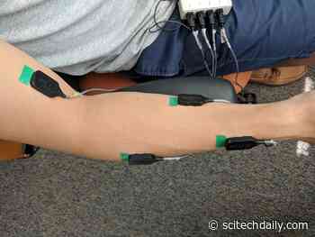 Practice Makes Perfect, but Sleep Helps, Too: Reactivating Memories During Sleep Improves Motor Skills