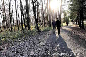 Chilliwack dog park closed for morning work at Island 22 – Chilliwack Progress - Chilliwack Progress