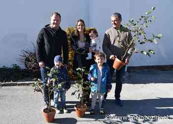Ternitzer Geburtenwald: Ein Bäumchen für jedes Neugeborene - meinbezirk.at