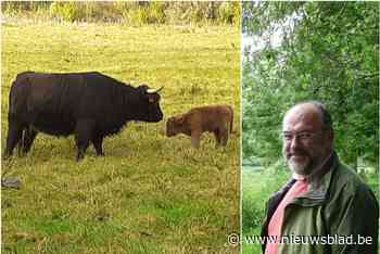Aaibaar eerbetoon aan overleden voorzitter Natuurpunt: “Hij zou dit geweldig hebben gevonden”<BR />