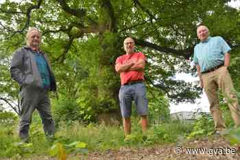Kalmthoutse fotokring stelt tentoon (Kalmthout) - Gazet van Antwerpen