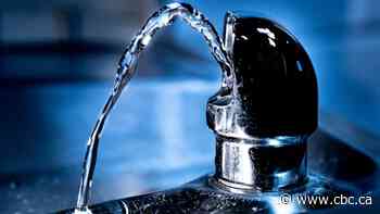 'Yes' leads on fluoride. Results here for daylight savings, equalization and the Senate race